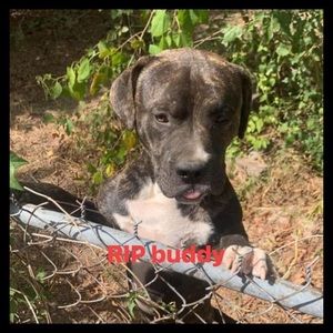 Meet your Posher, Tony